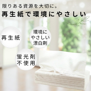 ティッシュペーパー ティッシュ ソフトパック ダブル 400枚 200組 40パック 再生紙 ティシュー エコ シンプル 日用品 消耗品 備蓄 防災 送料無料 愛媛県 四国中央市