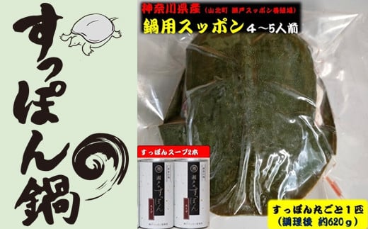 神奈川県産すっぽん鍋（4～5人前　約620ｇ）+すっぽんスープ2本 【 すっぽん 鍋 スープ 国産 肉 神奈川県 山北町 】