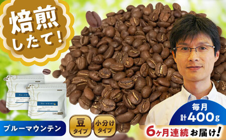 【全6回定期便】ブルーマウンテンNo.1　コーヒー豆　200g×2個(豆)  / コーヒー  ドリップ  豆 / Coffee SAKURA[BBAB031]