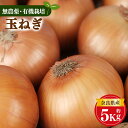 【ふるさと納税】生命の農法 （ 無化学農薬 ・ 無化学肥料栽培 ） 玉ねぎ 5kg ｜ヤサイ 野菜 やさい 玉葱 玉ねぎ たまねぎ 奈良県 五條市 5キロ