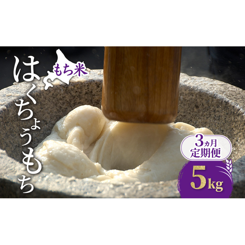3ヵ月 定期便 米 北海道 もち米 はくちょうもち 5kg (ホクレン米) 獲得 白米 お取り寄せ ごはん 道産米 ブランド米 5キロ お米 ご飯 米 北海道米 送料無料 北海道 芦別市