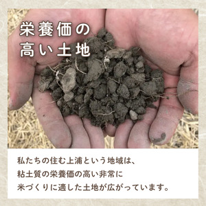 【 令和7年産 】 アキサカリ 白米 10kg ( 5kg × 2袋 ) 米