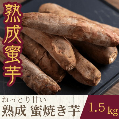【ふるさと納税】ねっとり甘い熟成蜜焼き芋 1.5kg【配送不可地域：離島・沖縄県】【1618098】