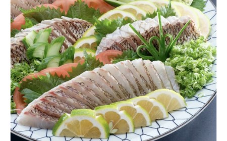 定期便 魚 6回 タイ 鯛 1匹分 刺身用半身( 皮無し ) ×2パック 頭付き ブランド 乙女鯛 鮮魚 刺身 鯛めし 高知県 須崎市  鯛 鯛飯 鯛 カルパッチョ たい 酢ミカン 鯛 炙り タイ 昆