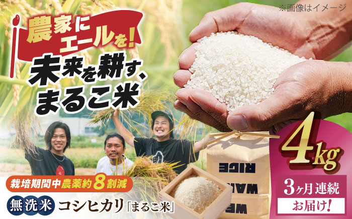 
            【全3回定期便】滋賀県西浅井町産コシヒカリ「まるこ米」4kg（2kg×2）　無洗米 滋賀県長浜市/ONE SLASH 株式会社[AQCZ037]  米 お米 白米 無洗米 こしひかり 4kg 地域 応援 定期便
          