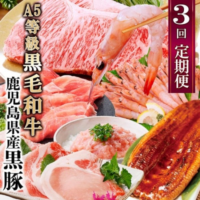 定期便3回配送　黒毛和牛・黒豚＆うなぎ DD5−0001【配送不可地域：離島】【1573840】