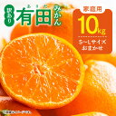 【ふるさと納税】【限定】 【先行予約】ご家庭用 有田みかん 和歌山 S～Lサイズ 大きさお任せ 10kg【ミカン 蜜柑 柑橘 温州みかん 和歌山 有田 訳あり 】