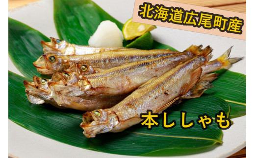 めおとししゃも一夜干し（オスメス各２尾入り）3袋セット【広尾産業流通振興公社】（0049）
