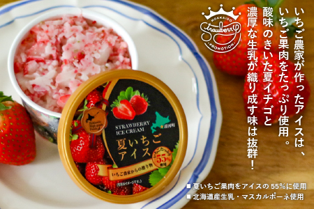 果肉55%「夏いちごアイス(12個)」[22-237]