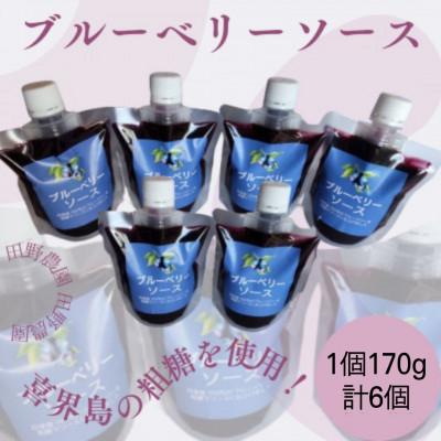 ふるさと納税 さつま町 ブルーベリーソース(計6本・1本170g)