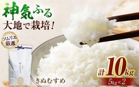 神話ゆかりの地からお届け！ 島根県産「出雲神名火きぬむすめ」10kg(5kg×2) ブランド米 新米 おすすめ 人気 ブランド米 新米 おすすめ 人気 ブランド米 新米 おすすめ 人気 ブランド米 新米 おすすめ 人気 島根県松江市/有限会社藤本米穀店[ALCG013]