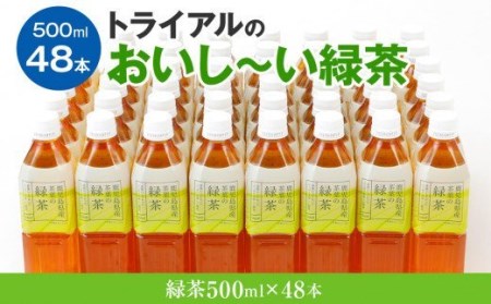 お茶 ペットボトル おいし～い緑茶 500ml×48本 お茶