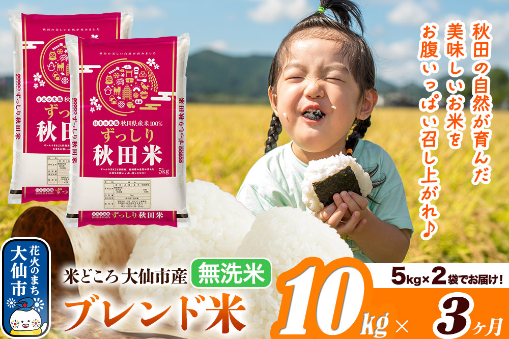 新米 米 令和7年産《定期便3ヶ月》米どころ 秋田県大仙市産 ブレンド米【無洗米】10kg（5kg×2袋）