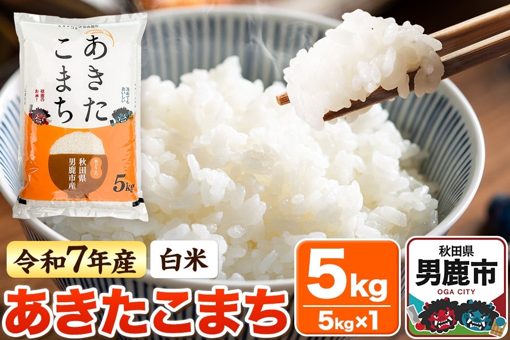
            ＜令和7年産＞【白米】あきたこまち 5kg
          
