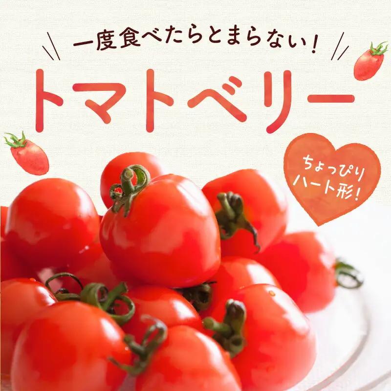【先行予約】フルーツのように甘いミニトマト2種 各500g トマトベリー & Nicoロッソ_Y124-0020