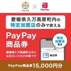 愛媛県久万高原町　PayPay商品券(15,000円分)※地域内の一部の加盟店のみで利用可