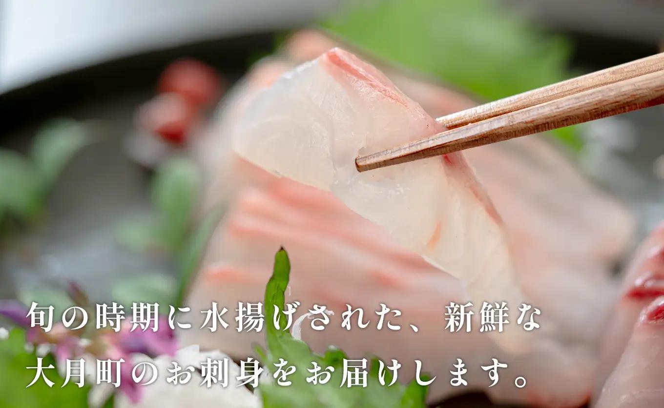旬のお刺身用 柵セット 4～6種 高知県産 刺身 盛り合わせ 食べ比べ 刺身セット 鮮度抜群 産地直送 海の幸 海鮮 魚介 新鮮 おつまみ 酒 海鮮丼 寿司 厳選 ギフト おすすめ 人気 刺し身 さし