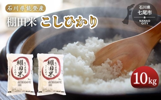 
                  令和7年産 棚田米 こしひかり10kg（5kg×2袋）米 ｜ 世界農業遺産に認定された『能登の里山里海』で育まれたお米 石川県 七尾市 能登 ※2026年6月～発送
                