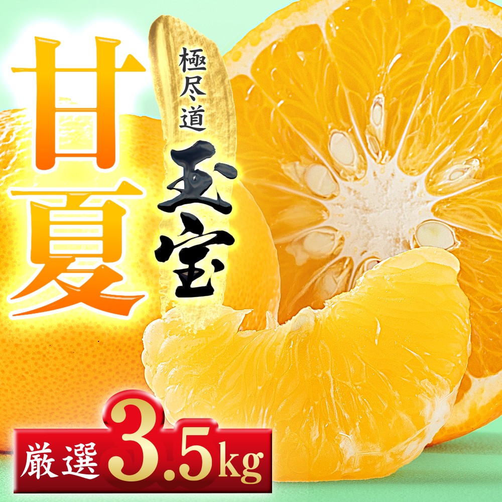 
                  【先行受付】【愛媛名産】玉宝甘夏　3.5kg【C64-73】ふるさと納税 果物 くだもの あまなつ みかん ミカン 蜜柑 柑橘 フルーツ 期間限定 季節限定 特産品 YWTY083
                