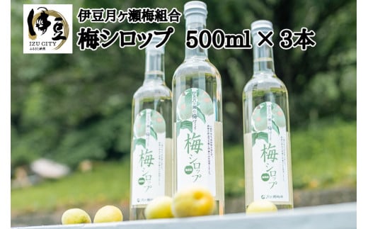 
伊豆 月ヶ瀬 こだわりの 梅シロップ 500ml×３本セット（化粧箱・ラッピング込み） 015-001
