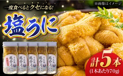 厄介うに ガンガゼの塩うに 70g×5本 五島市 / うた丸 [PGA002] ウニ 雲丹 ガンガゼうに ガンガゼウニ 海鮮 魚介 長崎 九州 五島 五島列島 セット