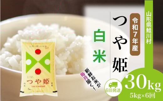 ＜令和7年産米＞ 特別栽培米 つや姫 【白米】 定期便 30kg （5kg×1ヶ月間隔で6回お届け）＜配送時期選べます＞　山形県鮭川村