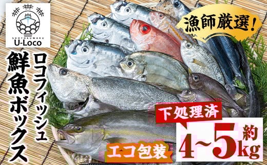 A78004 漁師厳選！ロコフィッシュ(地魚) 下処理済 鮮魚 ボックス(約4～5kg)【エコ包装】 地魚 魚 お魚 冷蔵 生もの 加工品 未利用魚 低利用魚 焼き魚 焼魚 刺し身 刺身 煮魚 届くまでのお楽しみ 鮮魚セット 鮮魚ボックス 鮮魚BOX【昌徳丸】