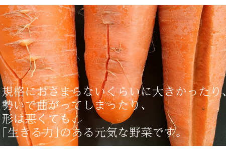 【フードロス対応・規格外】有機ニンジン　訳あり野菜を簡易包装にして増量　旬の時期（12月、1月、2月）のみ冬季限定発送 2138 にんじん　人参