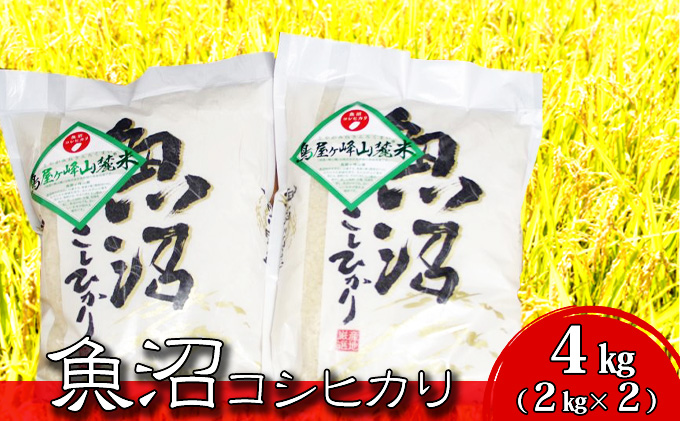 令和6年産 魚沼コシヒカリ　鳥屋ヶ峰山麓米(精米)４kg(2kg×2)