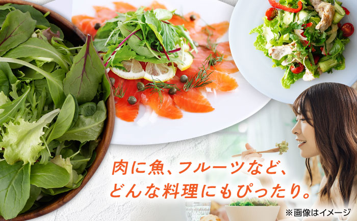 有機野菜 ベビーリーフ 計700g (35g×20パック)  山都町産 産地直送 高原野菜 有機JAS認証取得【株式会社 清和ミネラル会】 [YBT005]