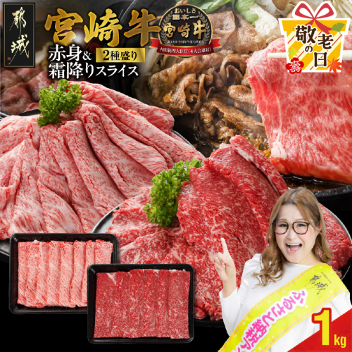 【敬老の日】宮崎牛スライス2種セット500g×2パック≪9月11日～15日お届け≫_17-N201-KG