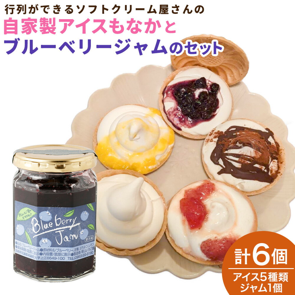 【ふるさと納税】行列ができるソフトクリーム屋さんの＜自家製アイスクリームとブルーベリージャムのセット＞2か月以内に順次出荷 モナカ ミルク いちご ブルーベリー チョコ マンゴー 特産品 新山いちご園 宮崎県 高鍋町 送料無料【冷凍】