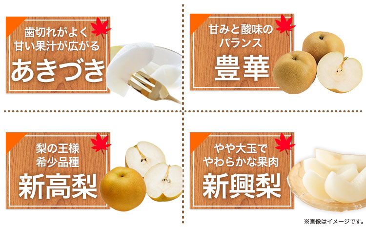 梨 完熟梨 和梨 なし フルーツ 果物 旬 秋 ( 幸水 凛夏 あきあかり 秋麗 あきづき 豊華 新高 新興 のいずれか) 約4.5~ 5kg (8～14玉) 熊本県長洲町産 竹下果樹園《8月中旬-1