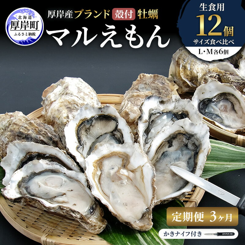【ふるさと納税】【 3ヵ月 定期便 】 厚岸産 ブランド 殻付カキ マルえもん 生食用 サイズ食べ比べ 12個 (L・M各6個)[ 魚貝類 生牡蠣 かき 牡蠣 カキ 生ガキ 食べ比べ ]　お届け：※12月20日～1月8日配送不可