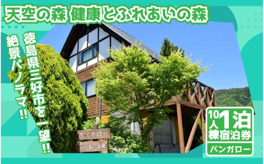 健康とふれあいの森 宿泊券 バンガロー 10棟 コテージ キャンプ 秘境 観光 絶景 にし阿波花火 自然 夏休み 徳島 子供 家族連れ みよし miyoshi 三好 天空の森 健康 ふれあいの森