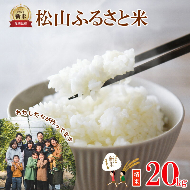 【ふるさと納税】 【2026年10月中旬から11月中旬頃順次発送】松山ふるさと米 愛媛県産 新米 令和8年産 20kg 精米 ｜産地直送 国産 白米 ブランド米 米 お米 期間限定 数量限定 ご当地 愛媛県 松山市 にじのきらめき ひのひかり あきたこまち にこまる