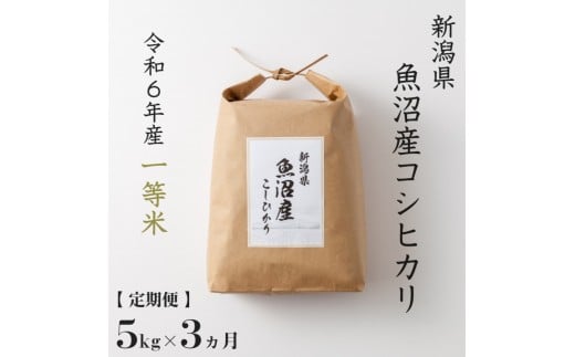 【 数量限定 】《 令和6年産米 》 定期便 5kg ×3ヶ月 魚沼産コシヒカリ 一等米 ( 慣行栽培 )