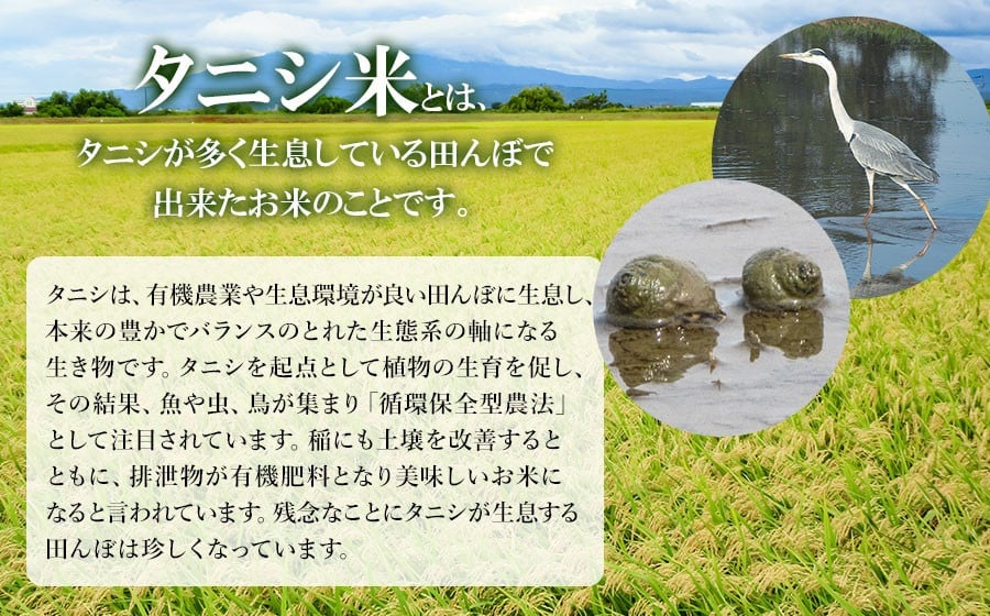 【令和7年産】【新米】 特別栽培米 つや姫（タニシ米）精米10kg（5kg×2袋）　山形県鶴岡産　アベ・アグリ米