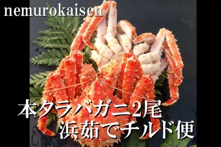 [12月21日決済分まで年内配送]【北海道根室産】(チルド便)本タラバガニ2尾（計1.4kg前後） D-57051