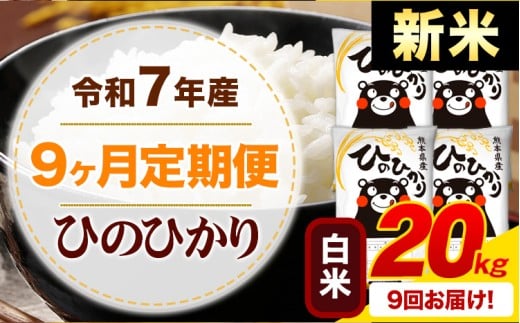 【9ヶ月定期便】新米 令和7年産 白米 ひのひかり 定期便 20kg《申込月の翌月から出荷開始》熊本県産 ふるさと納税 精米 ひの 米 こめ ふるさとのうぜい ヒノヒカリ コメ お米