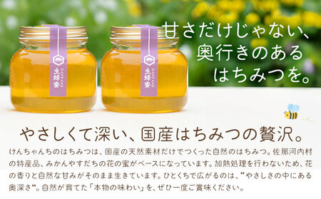 けんちゃんちのはちみつ 730g 2個セット はちみつ