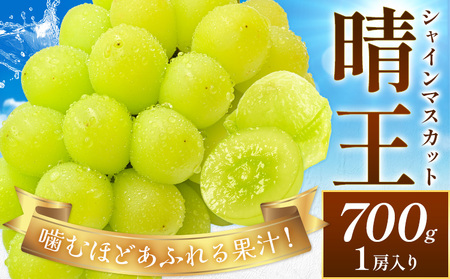 【2026年発送】ぶどう シャインマスカット 晴王 約700g 満天フルーツ マスカット