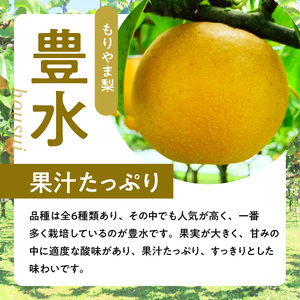 びわこもりやまフルーツランド  もりやま梨　豊水ご自宅用【８月下旬～９月お届け】