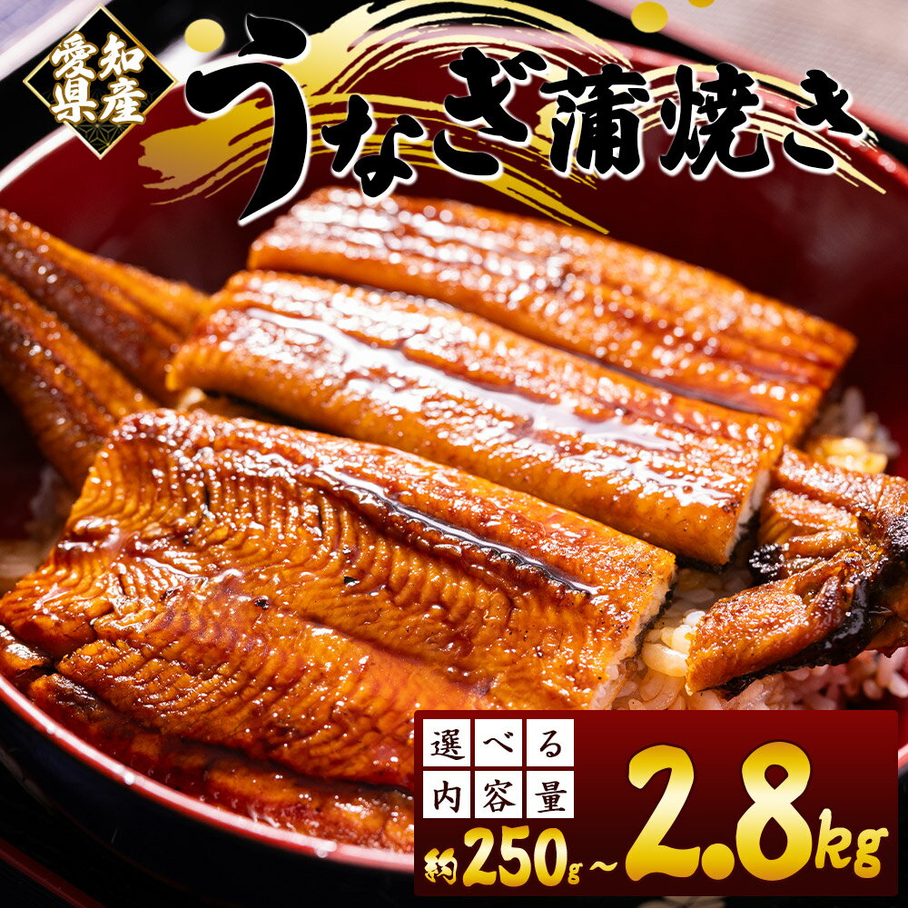 【ふるさと納税】国産養殖うなぎ蒲焼き (愛知県産鰻) (選べる内容量:250g～2.8kg) - 国産 鰻 ウナギ 養殖 かばやき タレ付き たれ おつまみ スタミナ 土用の丑の日 うな丼 うな重 丼ぶり 一品 おかず 香南市 レビューキャンペーン実施中 ゆずあんぱん風おまんじゅうをお届け