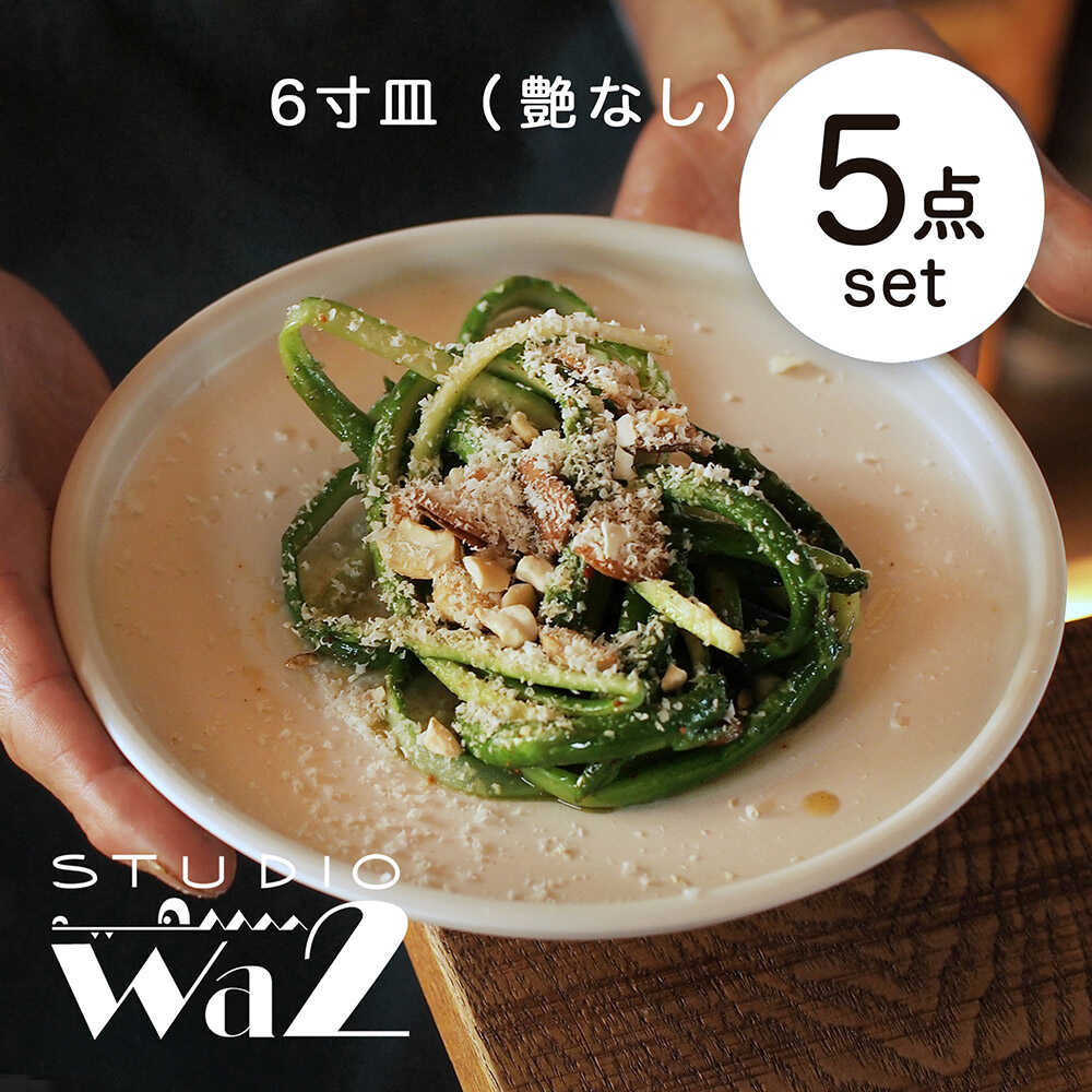 【ふるさと納税】【波佐見焼】KINU 6寸皿 5点セット（艶なし）【studio wani】[MB84]