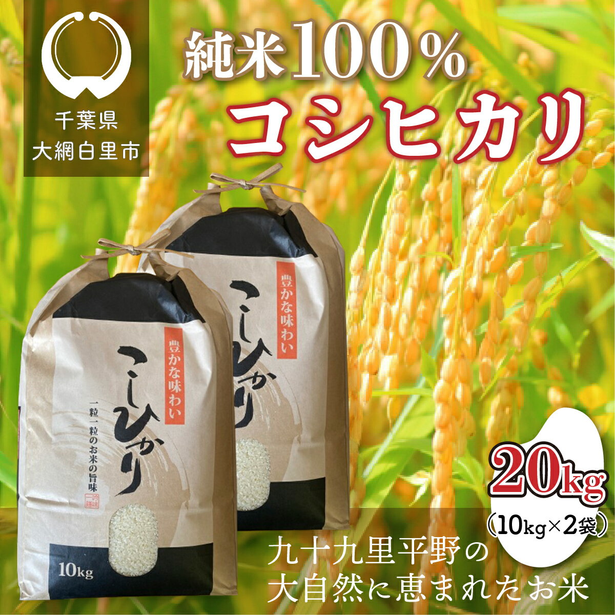 【ふるさと納税】【令和6年産】千葉県 大網白里市産 コシヒカリ 20kg（10kg×2袋） お米 20kg 千葉県産 大網白里市 コシヒカリ 米 精米 こめ 送料無料 J003