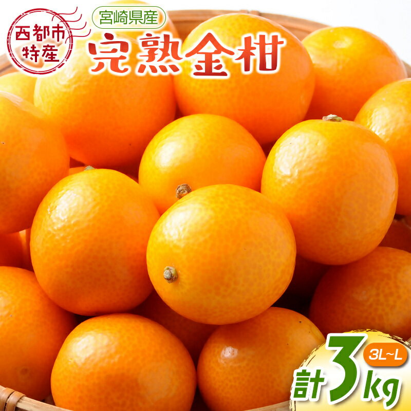 【ふるさと納税】宮崎完熟金柑3kg（3L～L）【先行予約】西都市特産品【数量限定】＜1.2-41＞ 果物 フルーツ