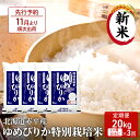 【ふるさと納税】【先行予約2024年産米・11月より順次出荷】北海道赤平産 ゆめぴりか 20kg (5kg×4袋) 特別栽培米 【1ヵ月おきに3回お届け】 米 北海道 定期便　定期便・米・お米・ゆめぴりか 赤平産　お届け：2024年11月中旬より順次出荷