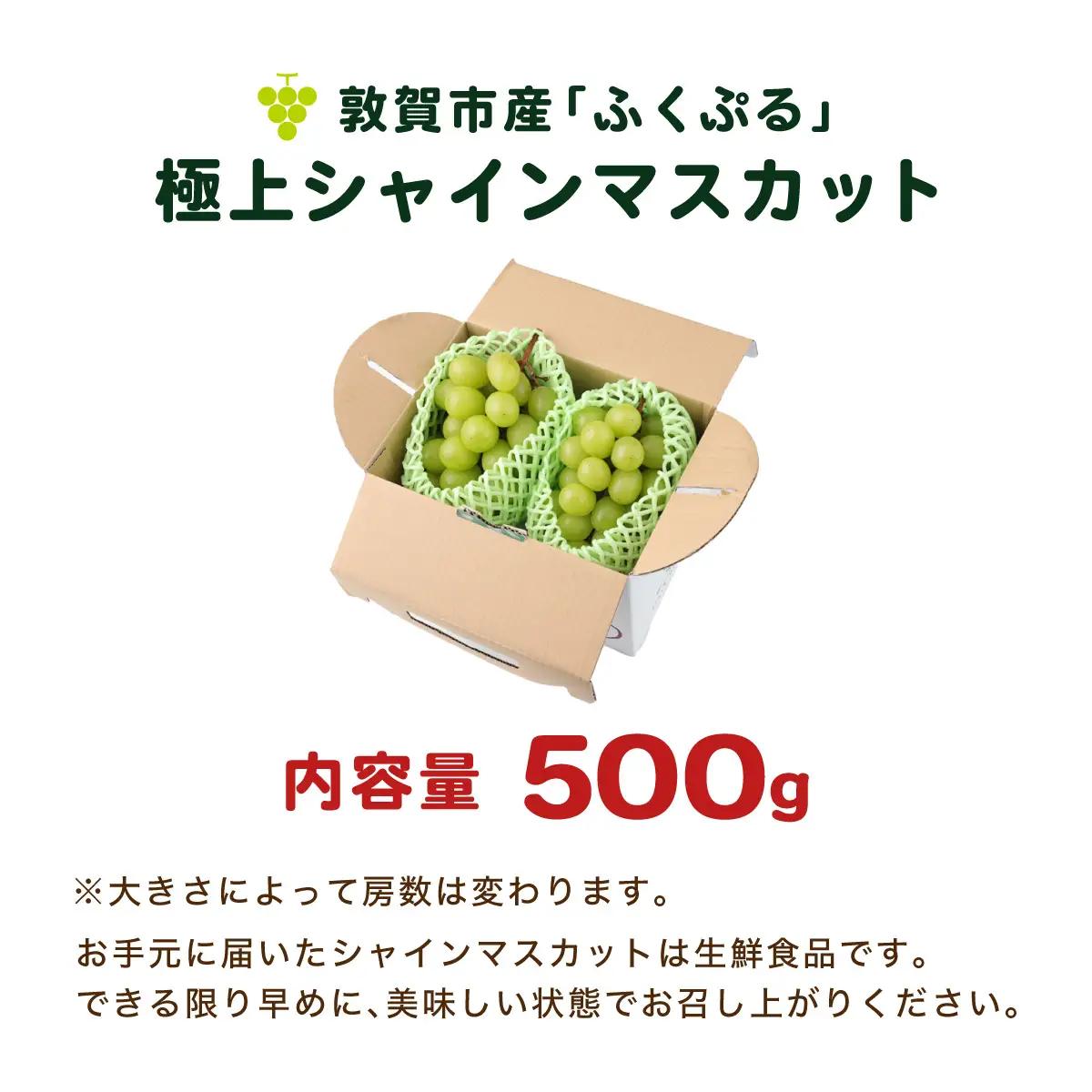 シャインマスカット ふくぷる 500g [003-a003] 