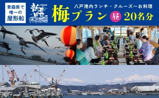 ブルーカンパニー 新井田丸 ＜青森県で唯一の屋形船＞  八戸港内ランチ・クルーズ 【お料理：梅プラン、昼】 チケット 20名分 新鮮魚介類 うみねこ餌付け体験 バードウォッチング 青森県 八戸市